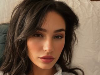 cambabe AllegraEssen