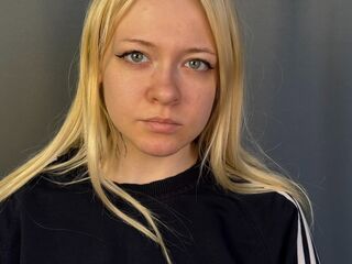 teaser webcam HerthaWiggen