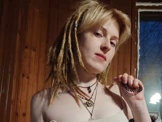 free livecam Qoshka